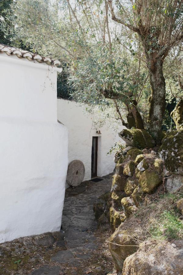 Serra Vida - A Place Of Presence Santo Antonio das Areias Экстерьер фото