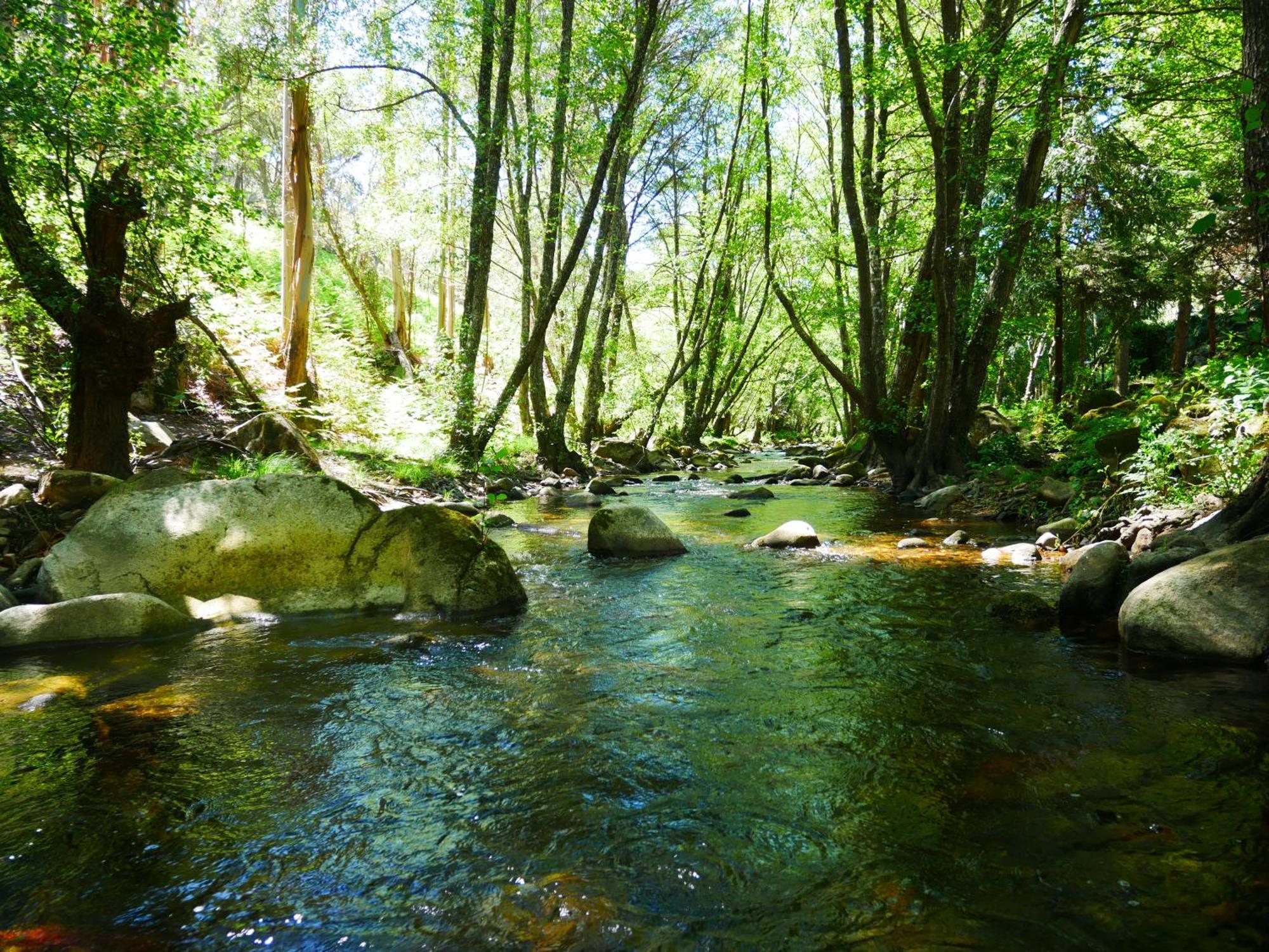 Serra Vida - A Place Of Presence Santo Antonio das Areias Экстерьер фото